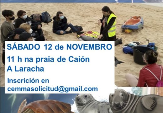 A CEMMA impartirá en Caión unha actividade de simulacro de rescate de animais mariños